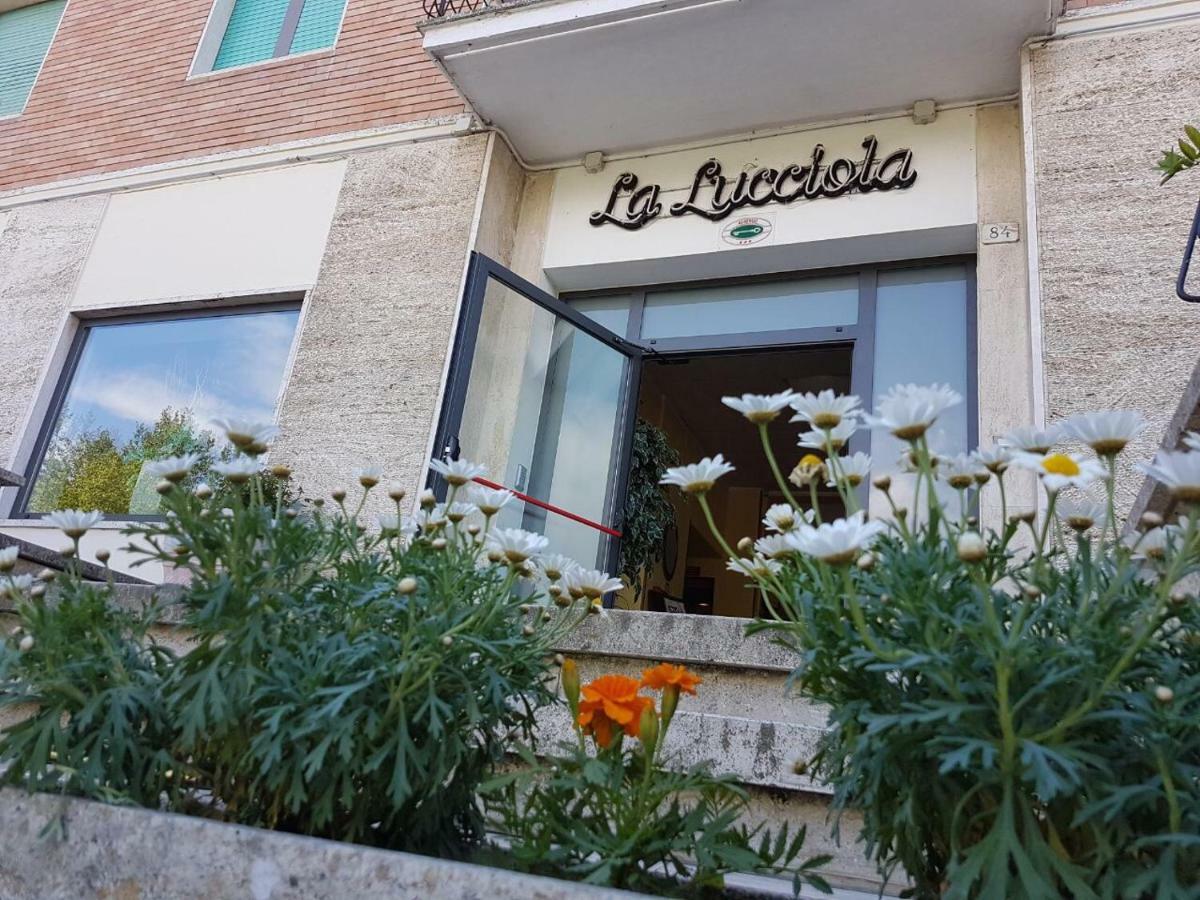 Hotel La Lucciola Chianciano Terme Dış mekan fotoğraf