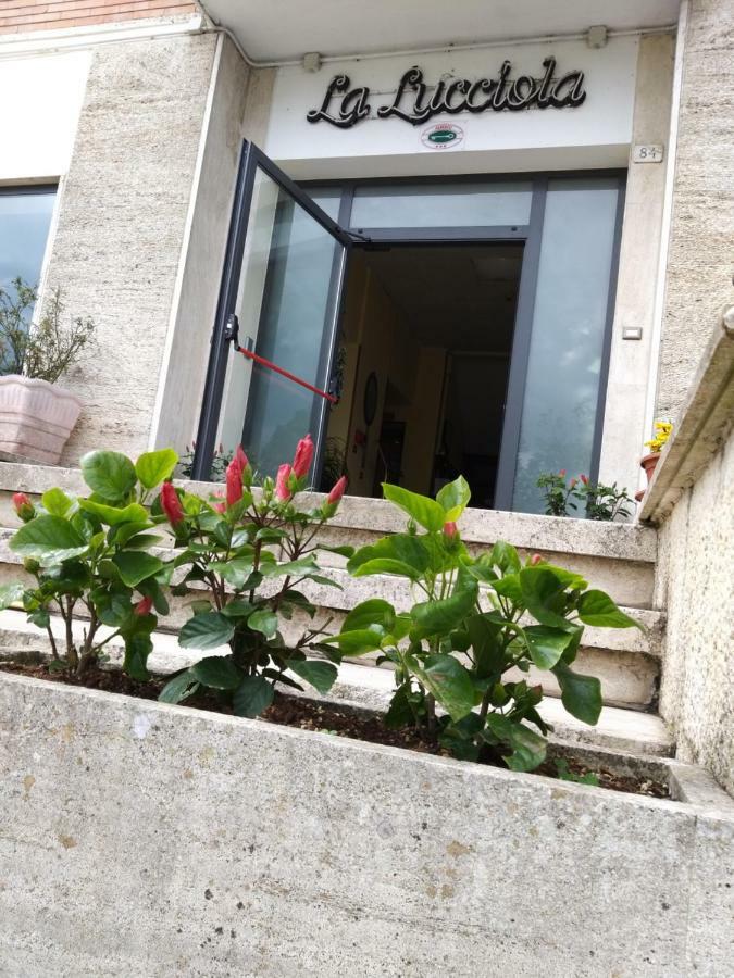 Hotel La Lucciola Chianciano Terme Dış mekan fotoğraf